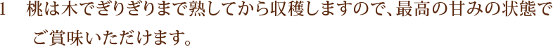 1　桃は木でぎりぎりまで熟してから収穫しますので、最高の甘みの状態でご賞味いただけます。